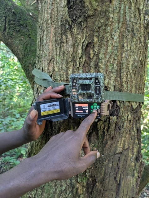 ECOTRUST’s Biodiversity Monitoring Approach Strengthens Livelihoods and Conservation in Masindi
