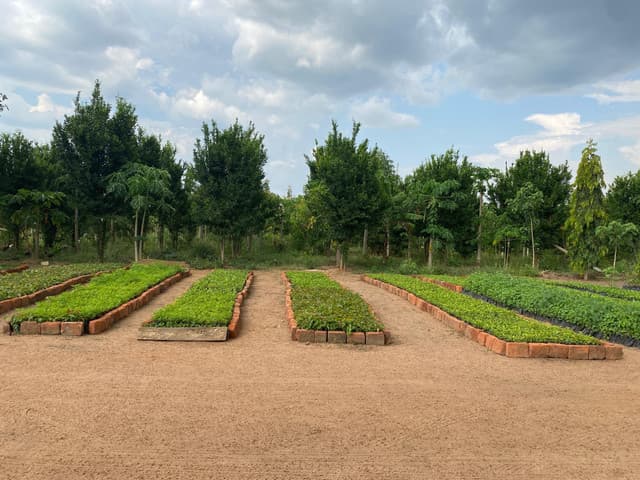 TASLL Project Turns Landscape Restoration into Profitable Green Businesses in Northern Uganda