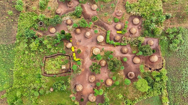 Adjumani Emerges Top Performer in IFPA-CD Woodlots Programme, Boosting Forest Products Supply in Refugee-Hosting Areas