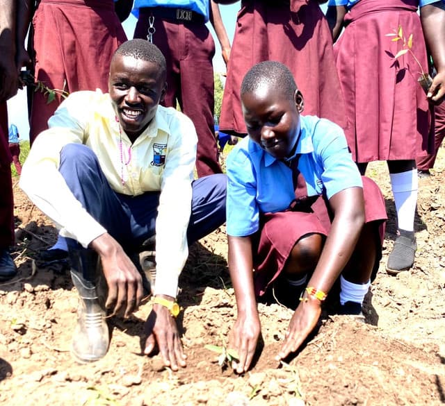 How NIRAS and Partners Are Transforming Communities Through Tree Growing Across Northern and Western Uganda